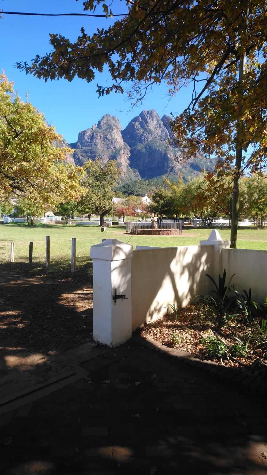 View through autumn oak leaves of the twin peaks of the Simonsberg mountain rising above a low white perimeter wall and open lawn.
