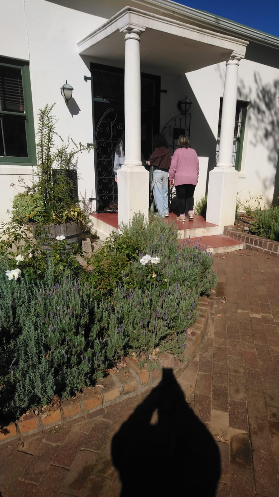 Two women walk up a red-painted step between two white classical columns into a small white Cape Dutch cottage, framed by lavender.